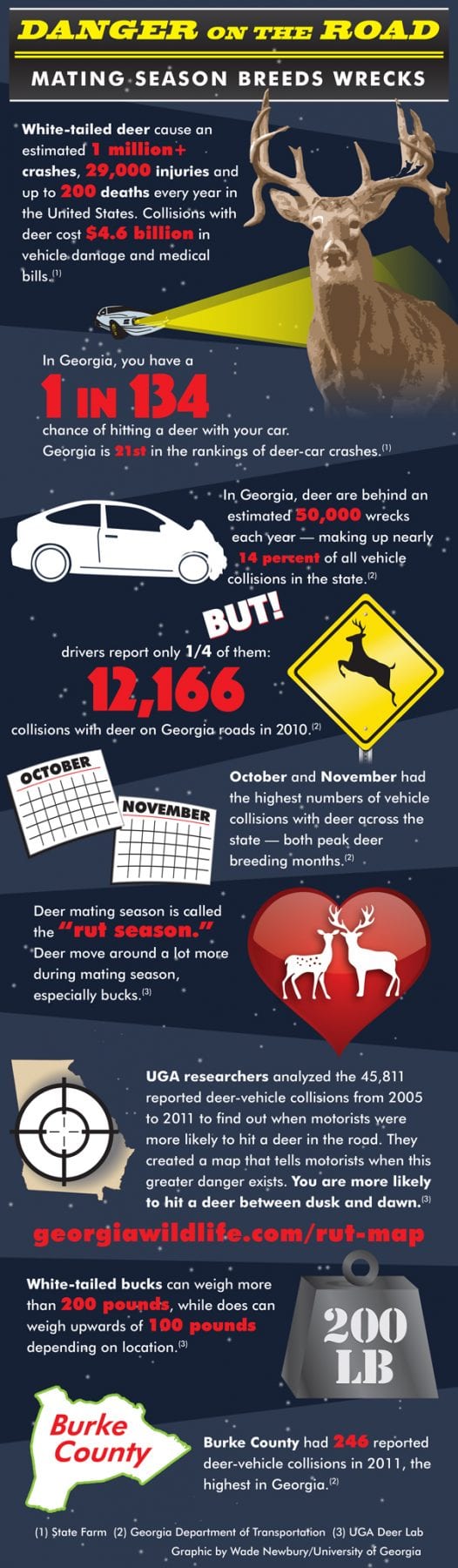 Deer-Vehicle-Collisions-Infographic